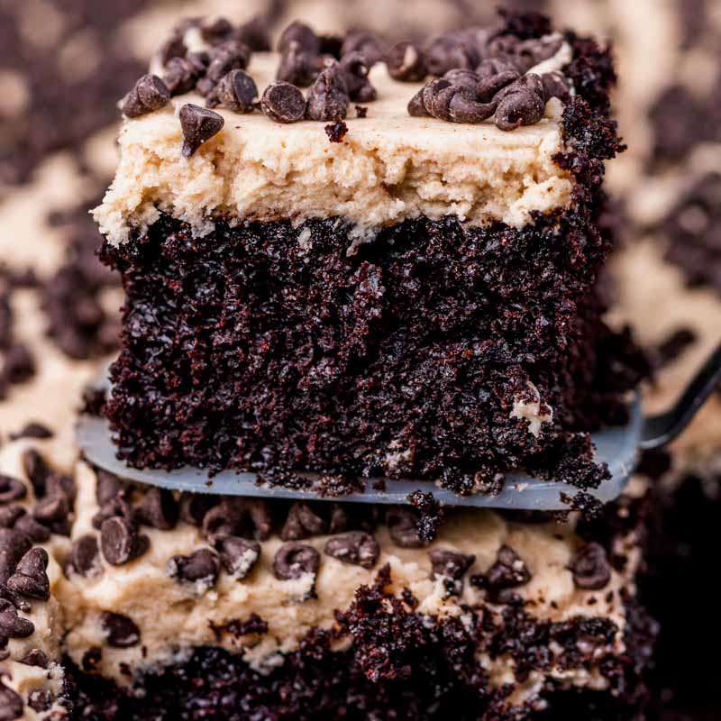 a slice of mexican chocolate cake on a spatula