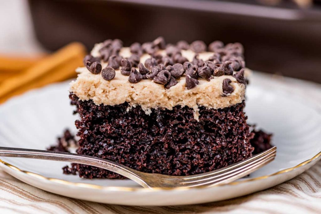 a piece of chocolate cake on a plate