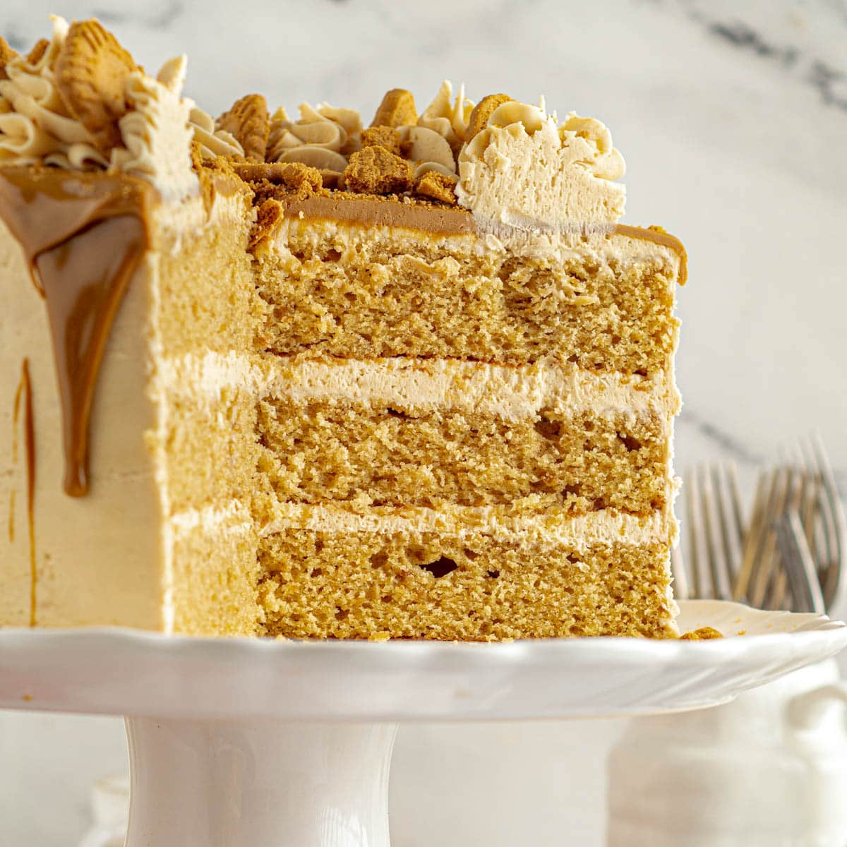 Biscoff Cake Recipe The Best Cake Recipes